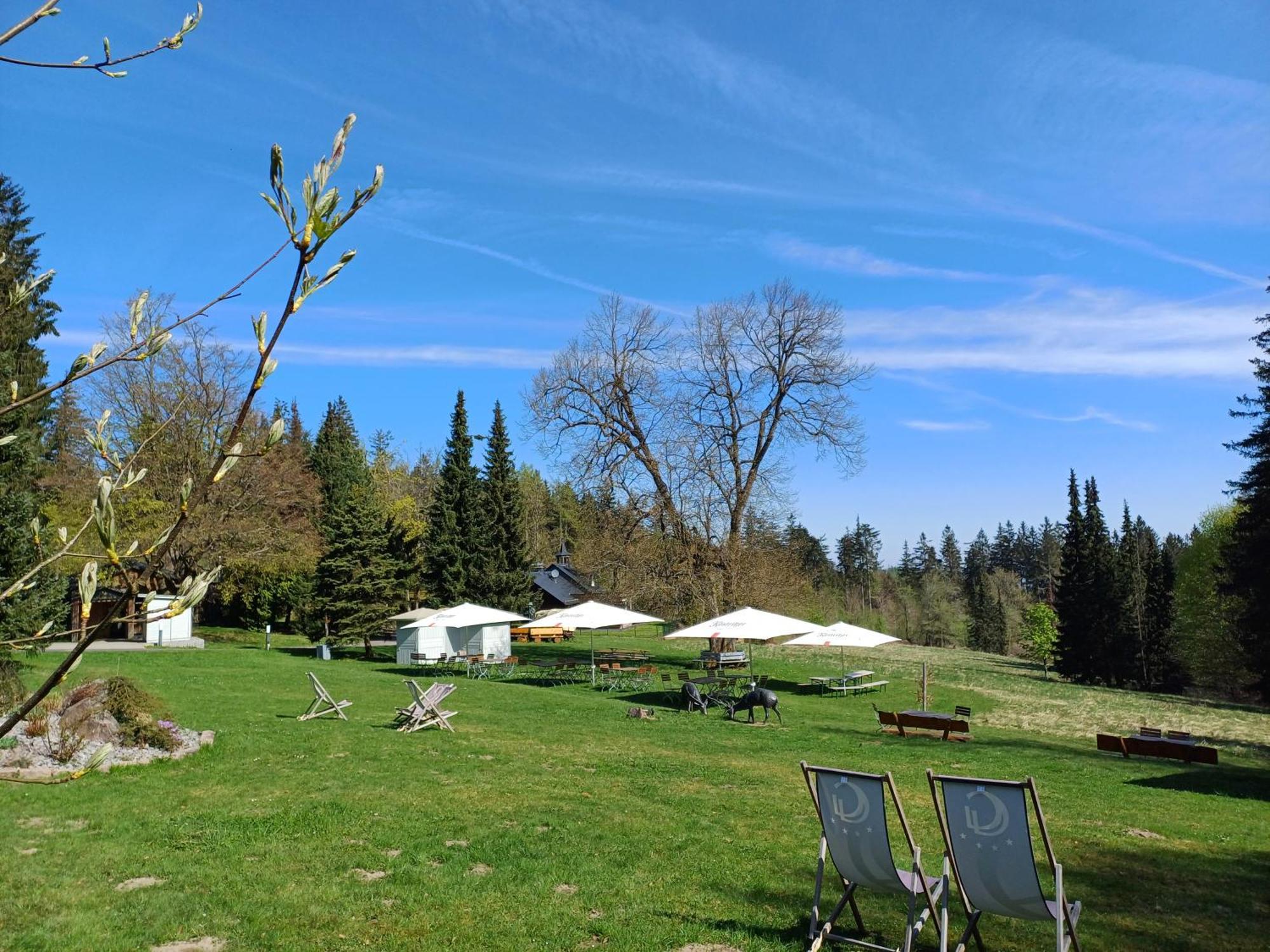 Berg & Spa Hotel Gabelbach Ilmenau Exteriör bild